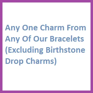 Any Charm (Excluding Birthstone Drop Charm)