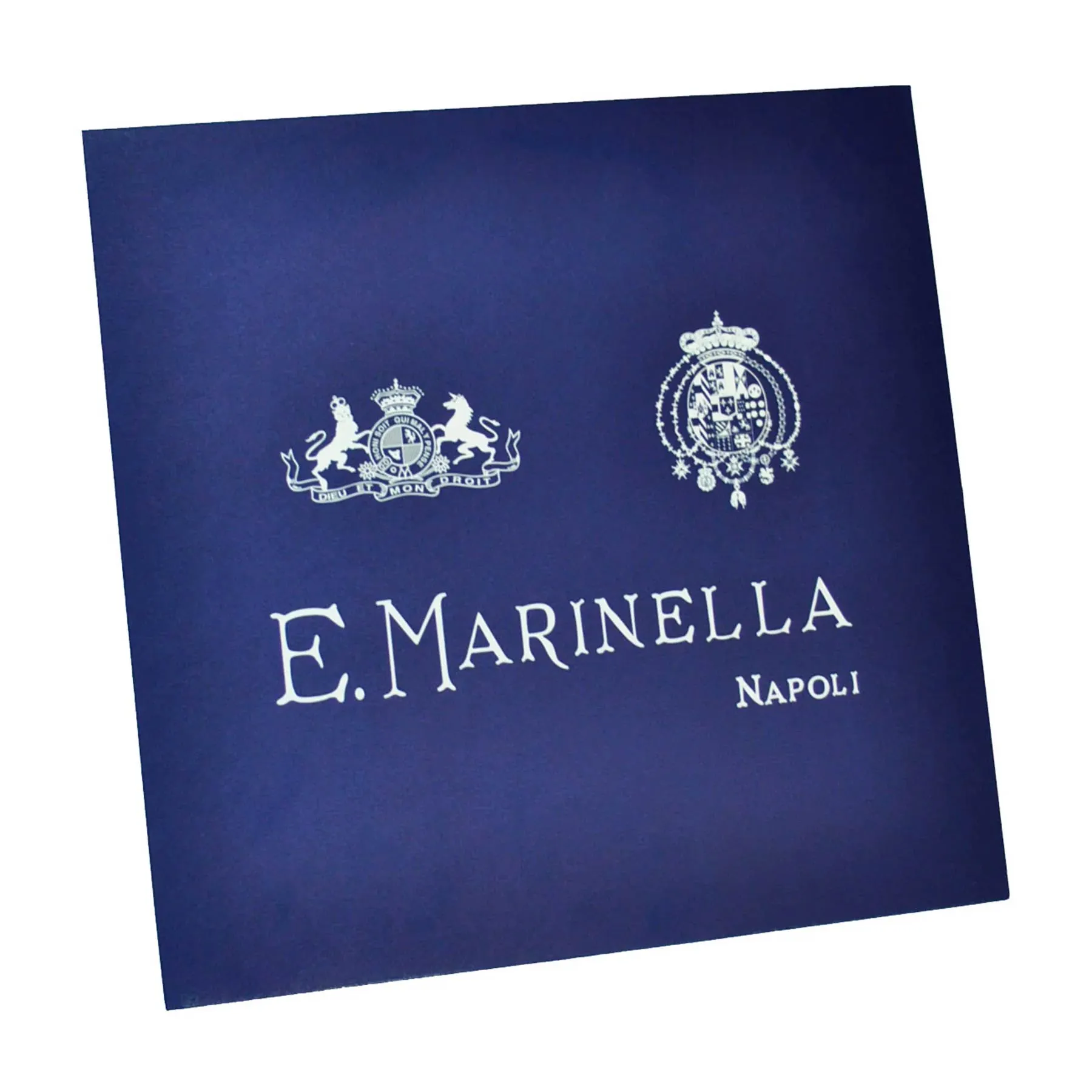 E. Marinella Scarf Dark Blue Pink Aqua Bird Floral - Twill Silk Square Foulard